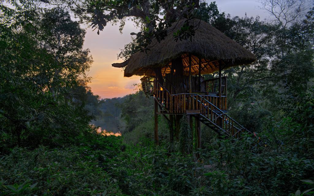Evolve Back Coorg Otel Siddāpur Dış mekan fotoğraf